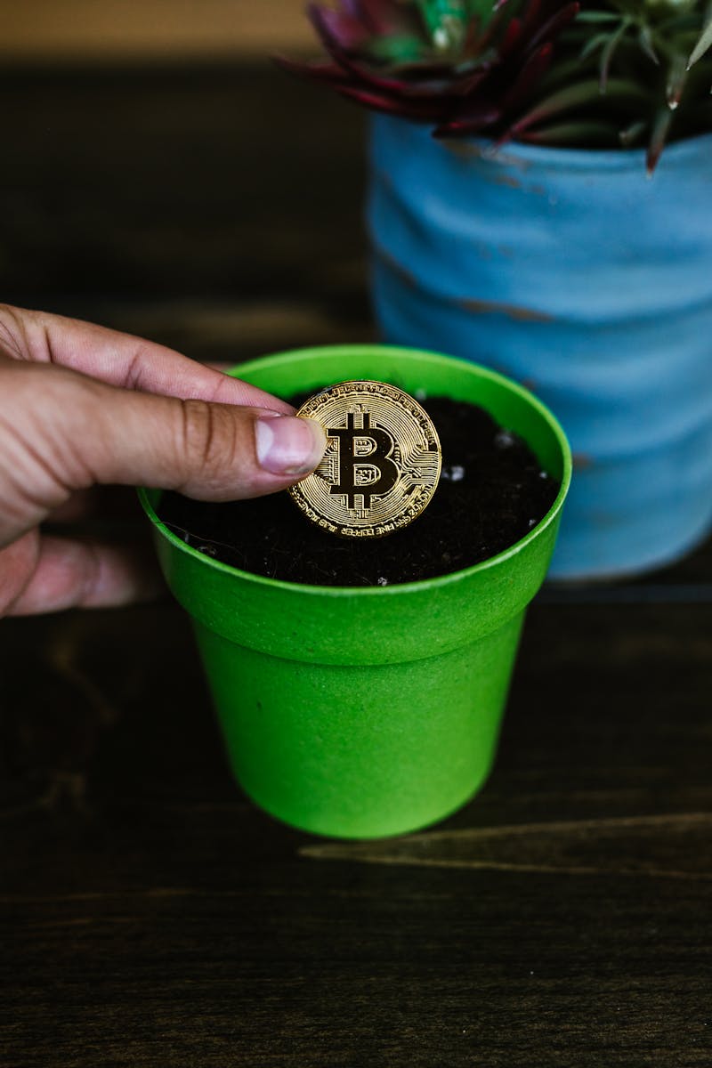 A bitcoin coin being placed into a green pot, symbolizing investment growth.
